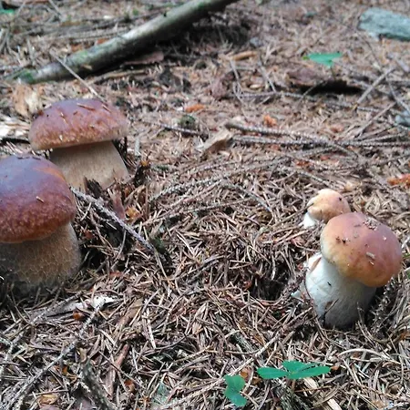 Karolínka * Benecko