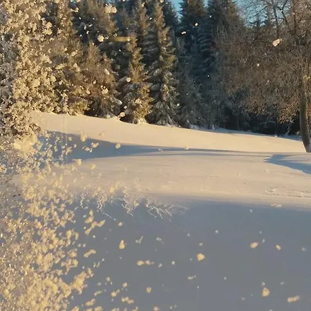 Alojamento de Turismo Selvagem Karolínka *