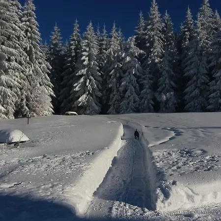 Alojamento de Turismo Selvagem Karolínka *