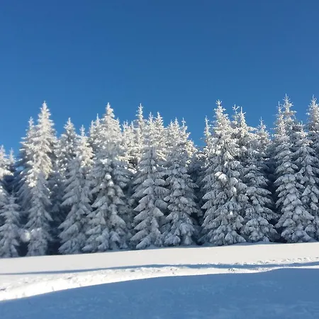 Alojamento de Turismo Selvagem Karolínka *