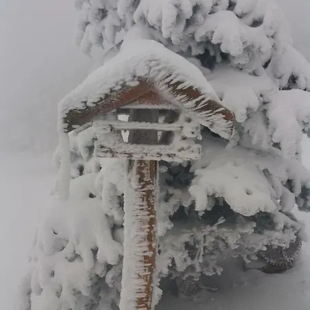 Alojamento de Turismo Selvagem Karolínka Benecko