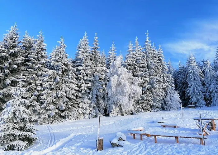 Karolinka 山林小屋 贝内茨科