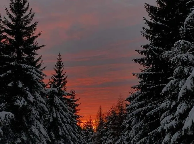 Karolinka 贝内茨科