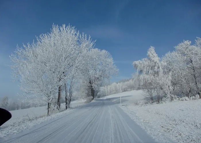 Karolinka * 贝内茨科