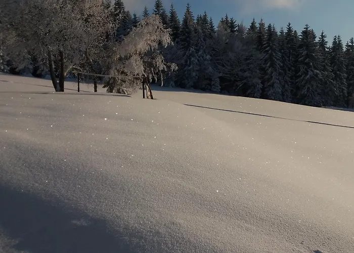 Karolinka * 贝内茨科