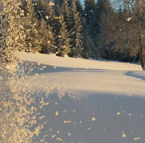 山林小屋 Karolinka *