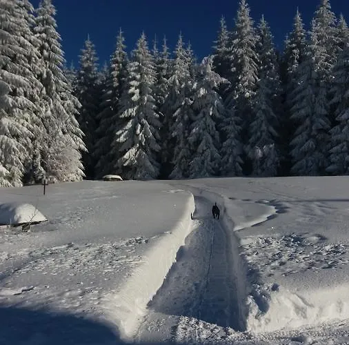 山林小屋 Karolinka *