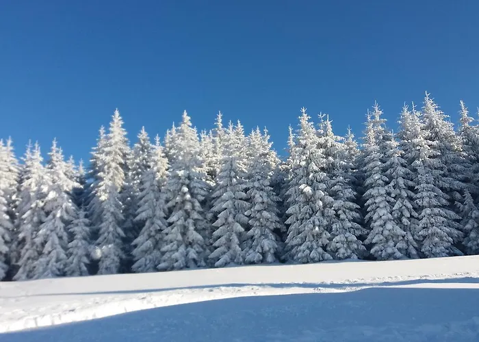 山林小屋 Karolinka *