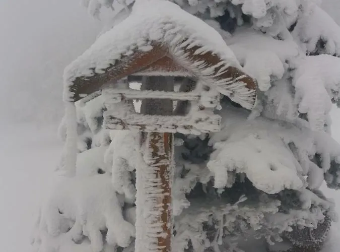 山林小屋 Karolinka 贝内茨科